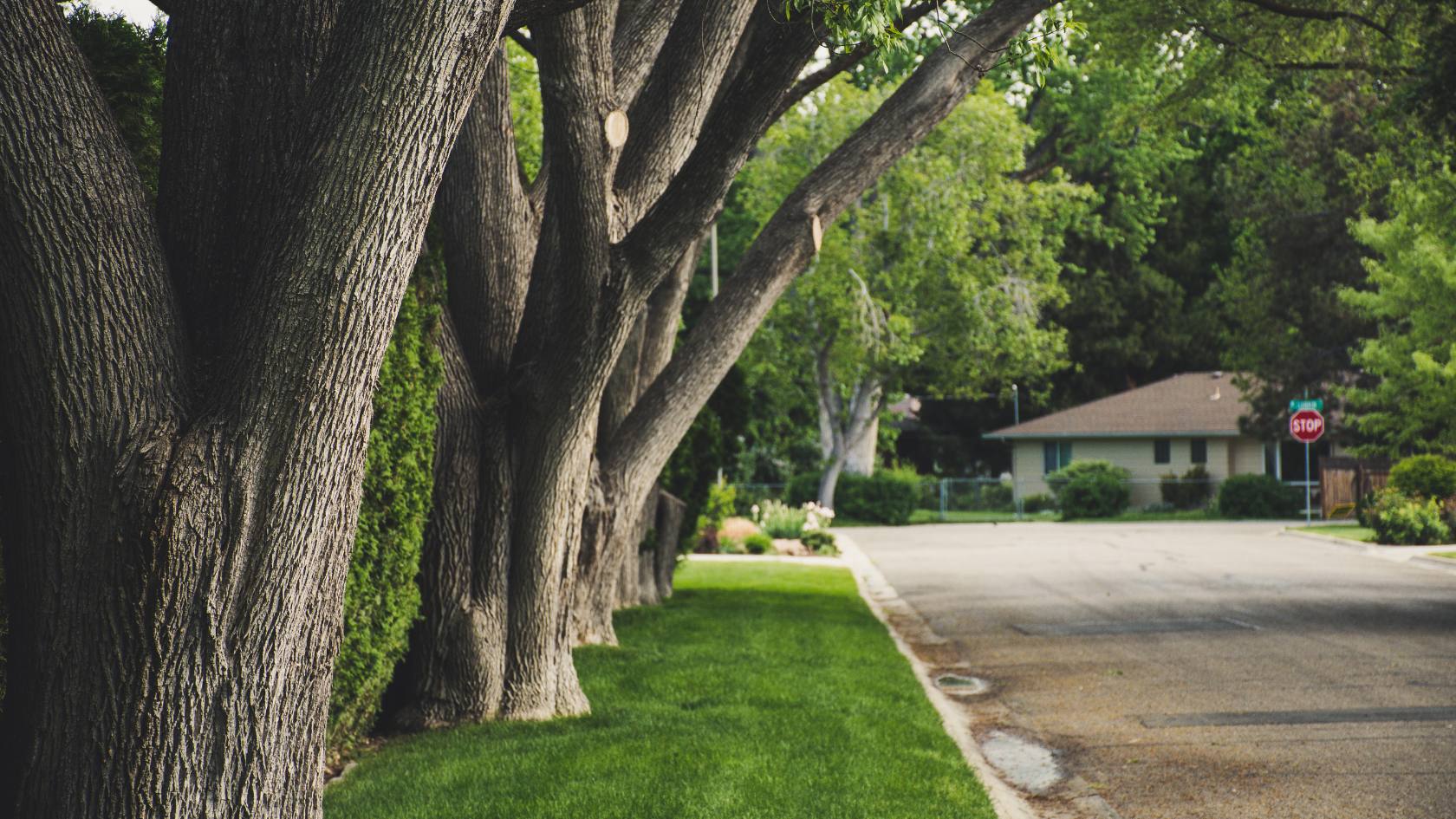 Cover photo for the seller article: Should You Buy First or Sell First?