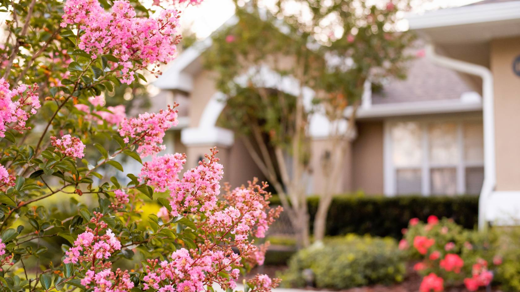 Cover photo for the seller article: How to Read the Market Before You Sell